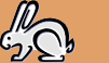 rabbitcaresheet2012.pdf